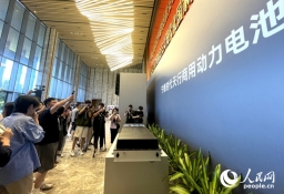 一块新能源电池，何以带起一条产业链？